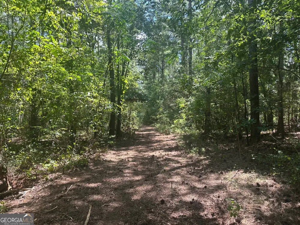 0 Ruckersville RD Elberton, GA 30635