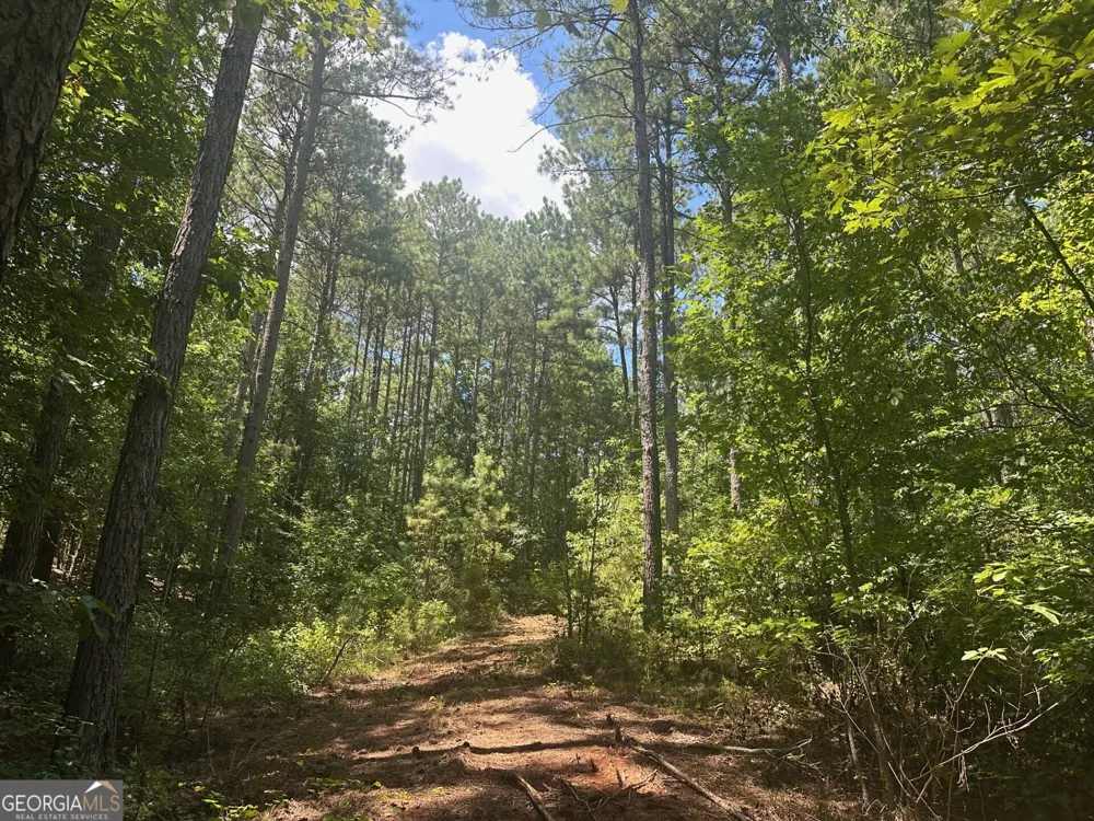 0 Ruckersville RD Elberton, GA 30635