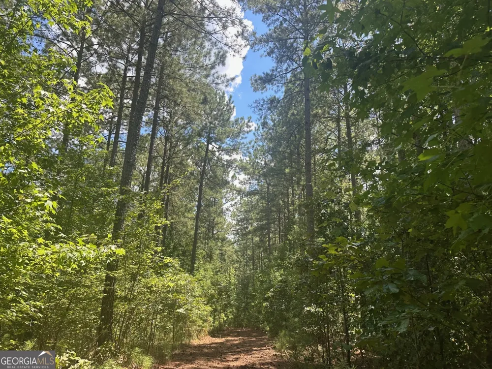 0 Ruckersville RD Elberton, GA 30635
