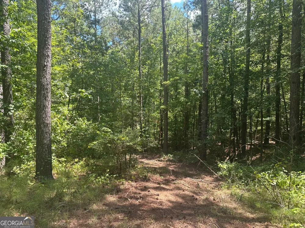 0 Ruckersville RD Elberton, GA 30635