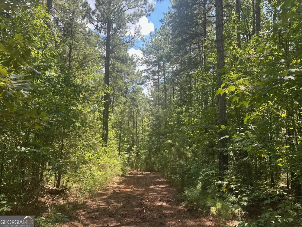 0 Ruckersville RD Elberton, GA 30635