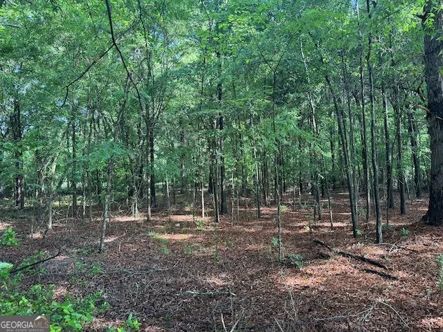 319 E McCarty ST Sandersville, GA 31082