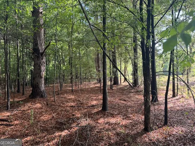 319 E McCarty ST Sandersville, GA 31082