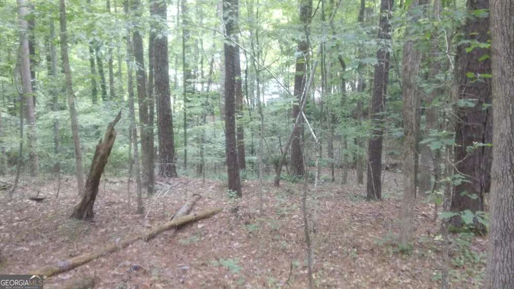 0 Woodduck CT Monticello, GA 31064