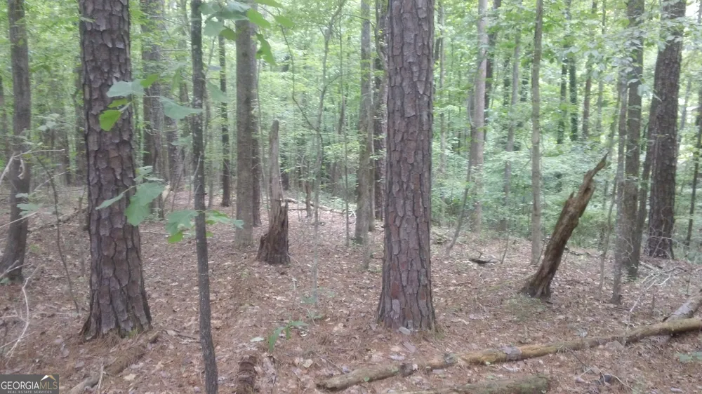 0 Woodduck CT Monticello, GA 31064