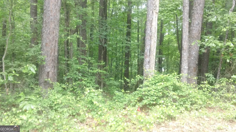 0 Woodduck CT Monticello, GA 31064