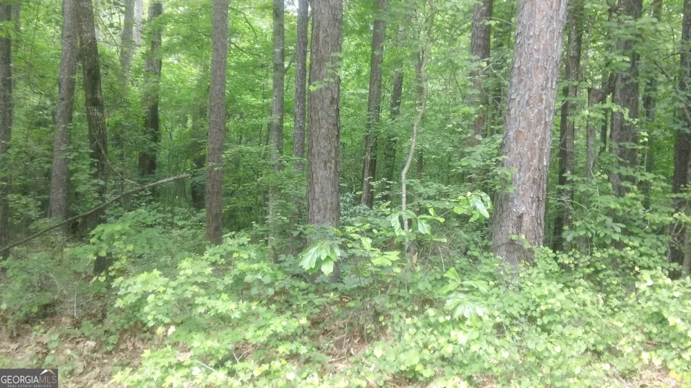 0 Woodduck CT Monticello, GA 31064