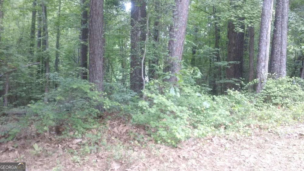0 Woodduck CT Monticello, GA 31064