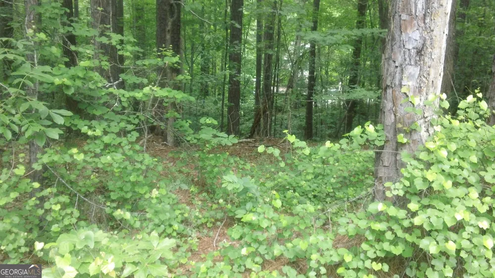 0 Woodduck CT Monticello, GA 31064