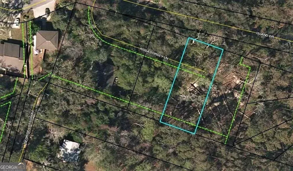 108 Rosa Dorsey LN St. Simons, GA 31522