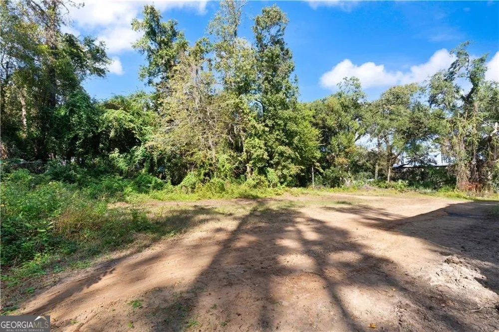 108 Rosa Dorsey LN St. Simons, GA 31522