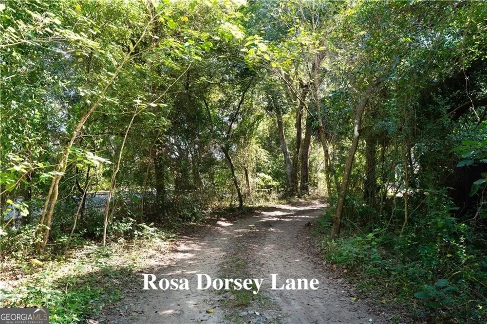 108 Rosa Dorsey LN St. Simons, GA 31522