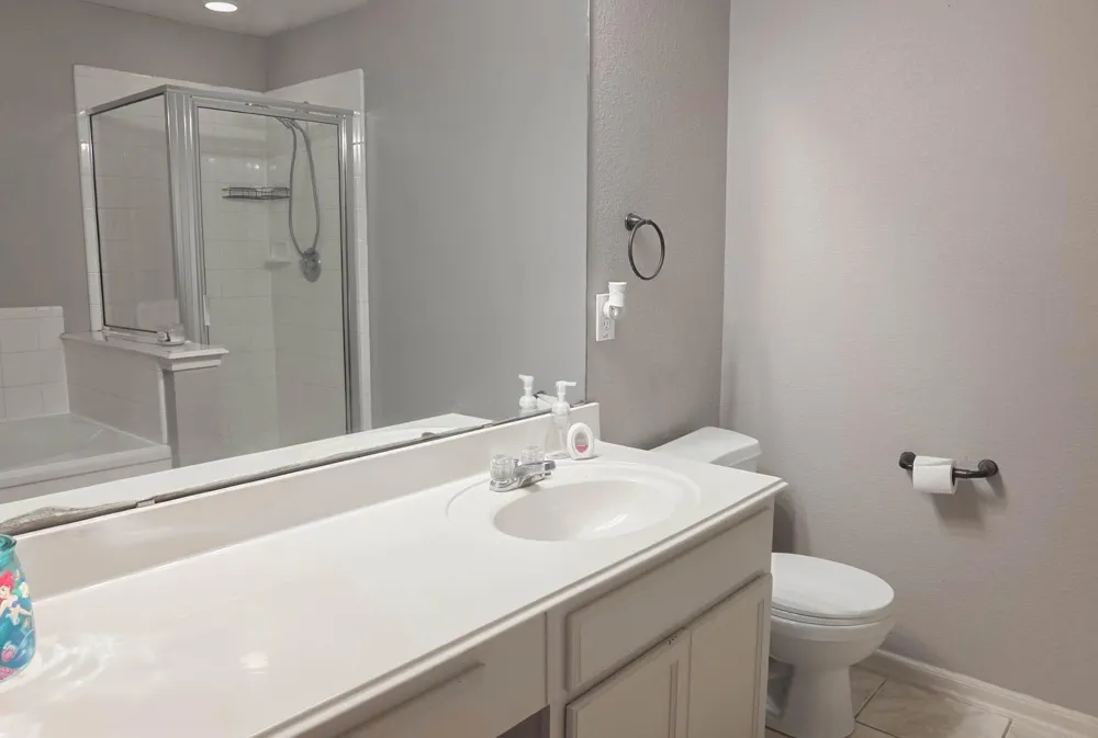 7335 Liberty Ridge Lane Houston, TX 77049