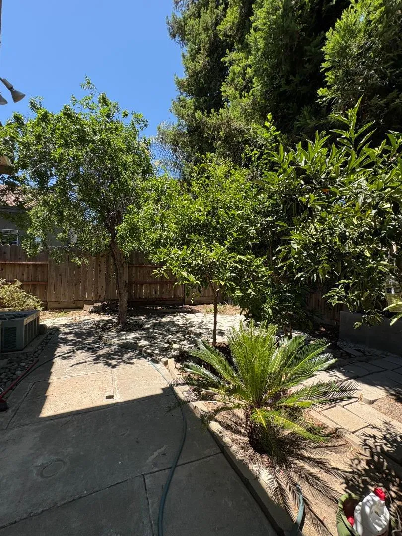 3905 Wilkesboro Avenue Modesto, CA 95357