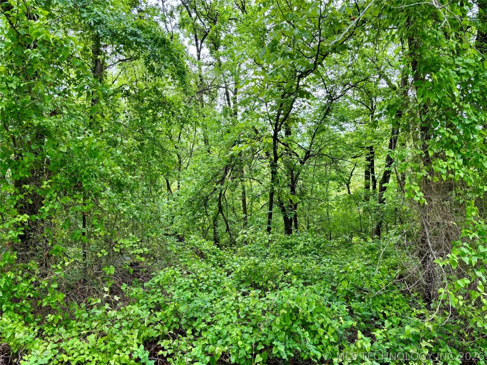 Ashley Road Bokoshe, OK 74930