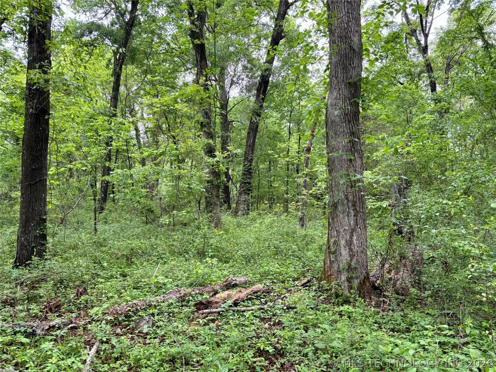 Ashley Road Bokoshe, OK 74930