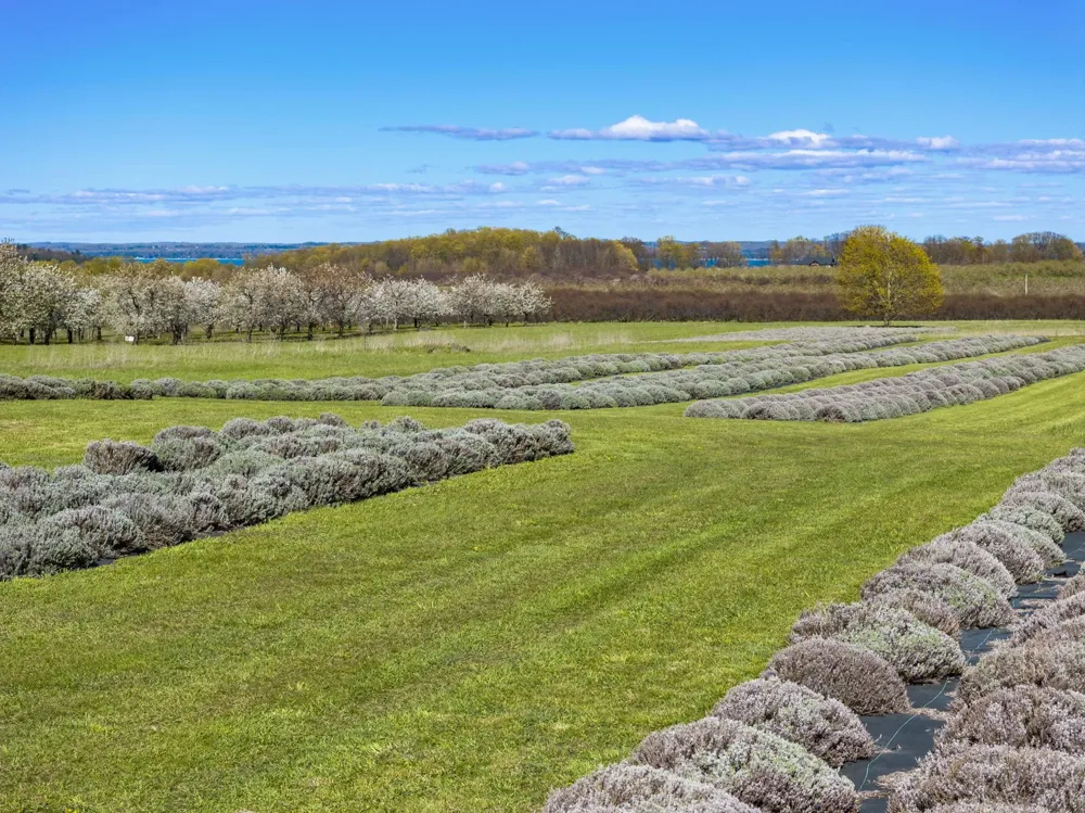 17770 Center Road Peninsula Township, MI 49686