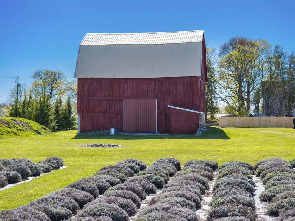 17770 Center Road Peninsula Township, MI 49686