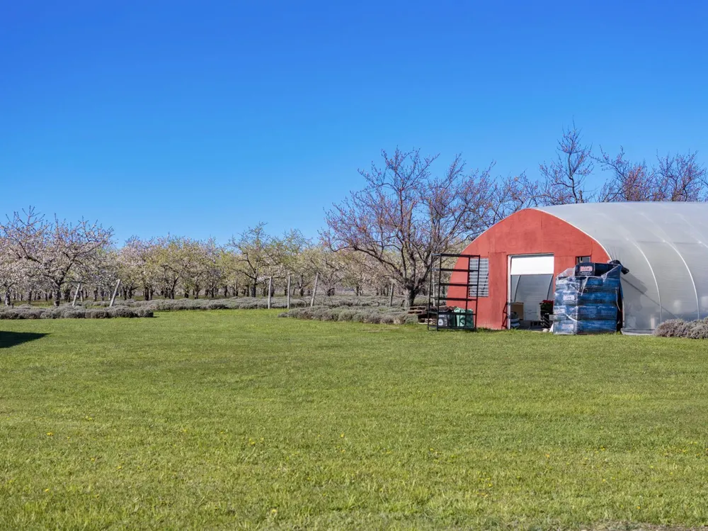 17770 Center Road Peninsula Township, MI 49686