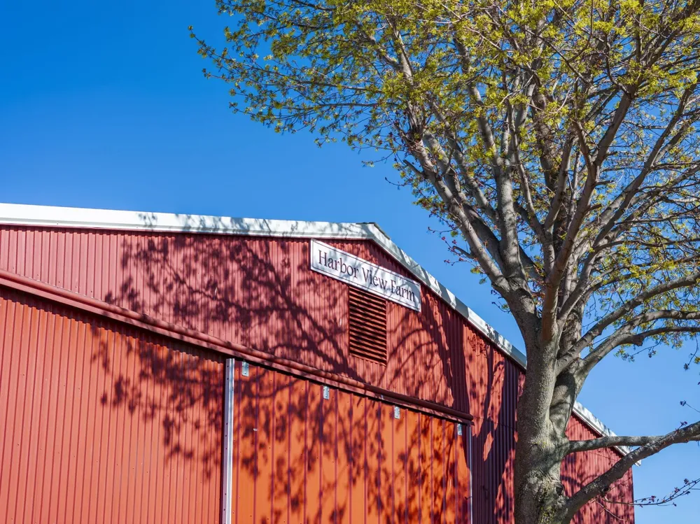 17770 Center Road Peninsula Township, MI 49686