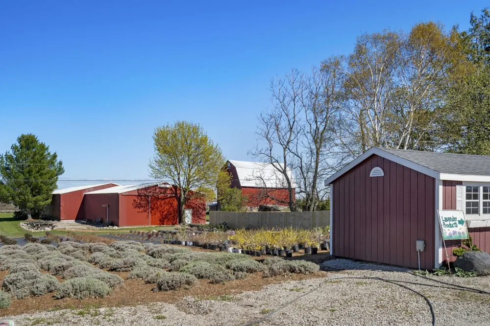 17770 Center Road Peninsula Township, MI 49686