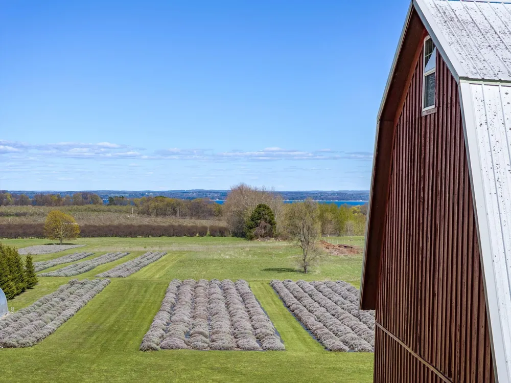 17770 Center Road Peninsula Township, MI 49686