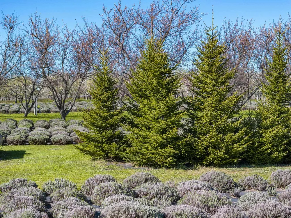 17770 Center Road Peninsula Township, MI 49686