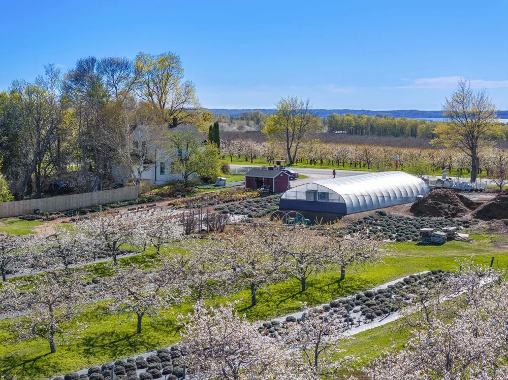 17770 Center Road Peninsula Township, MI 49686