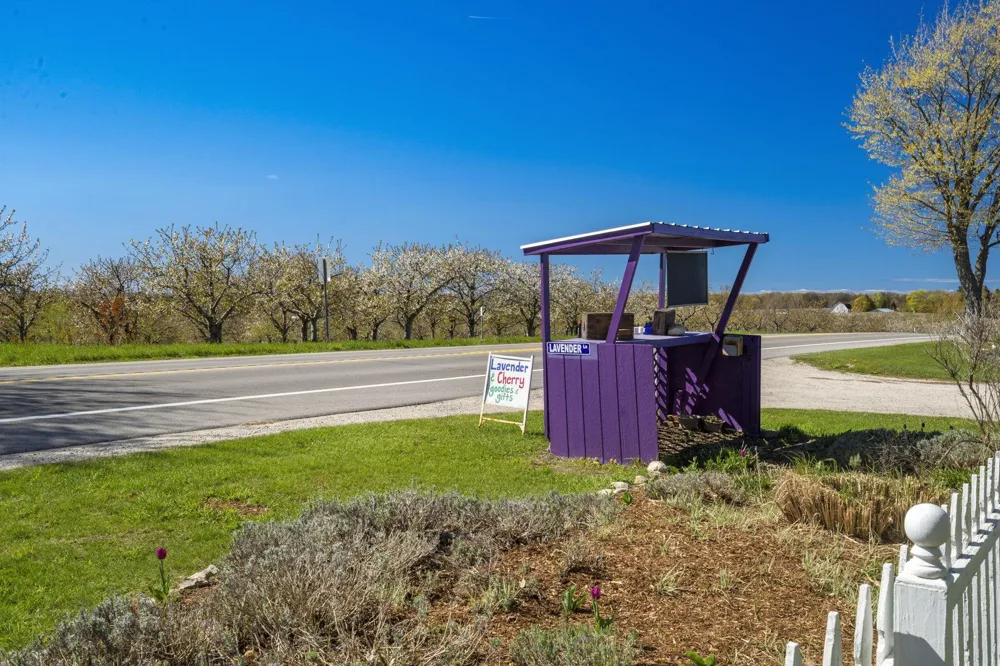 17770 Center Road Peninsula Township, MI 49686