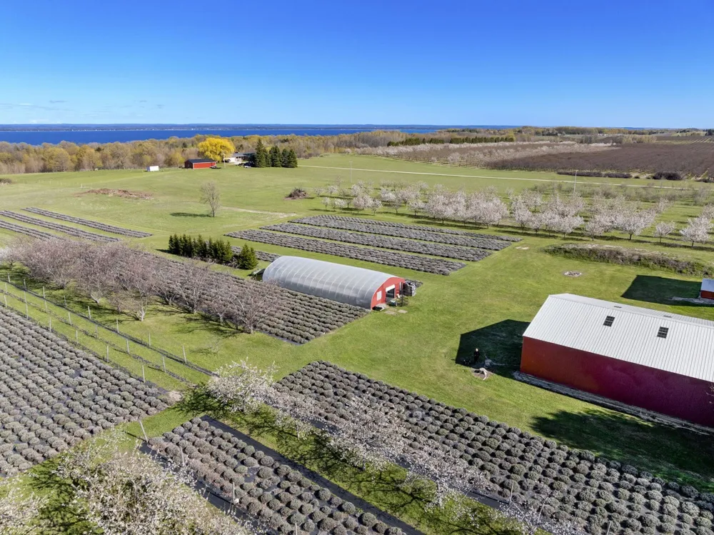 17770 Center Road Peninsula Township, MI 49686
