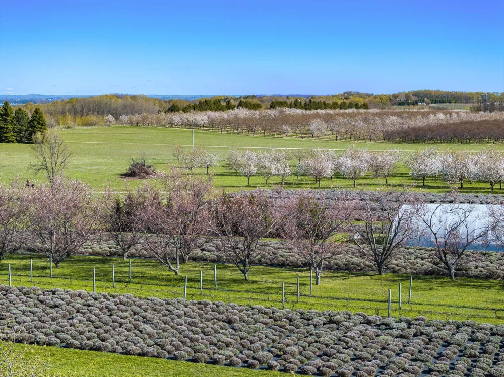 17770 Center Road Peninsula Township, MI 49686