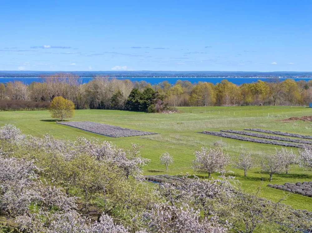 17770 Center Road Peninsula Township, MI 49686