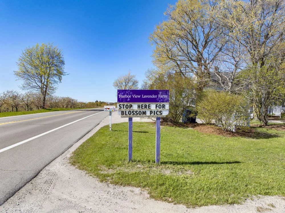 17770 Center Road Peninsula Township, MI 49686