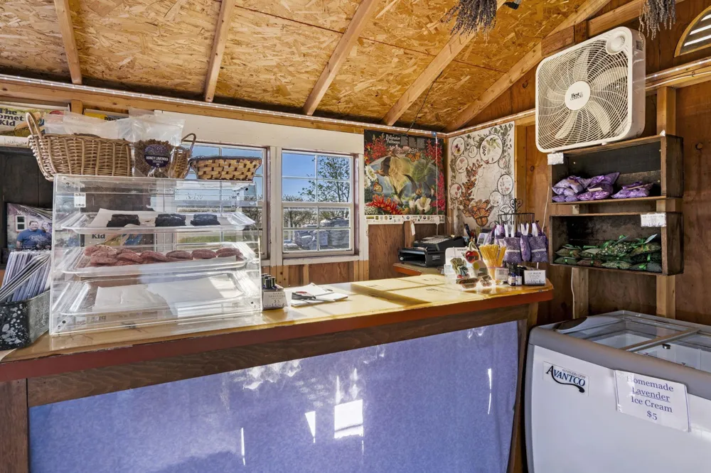 17770 Center Road Peninsula Township, MI 49686