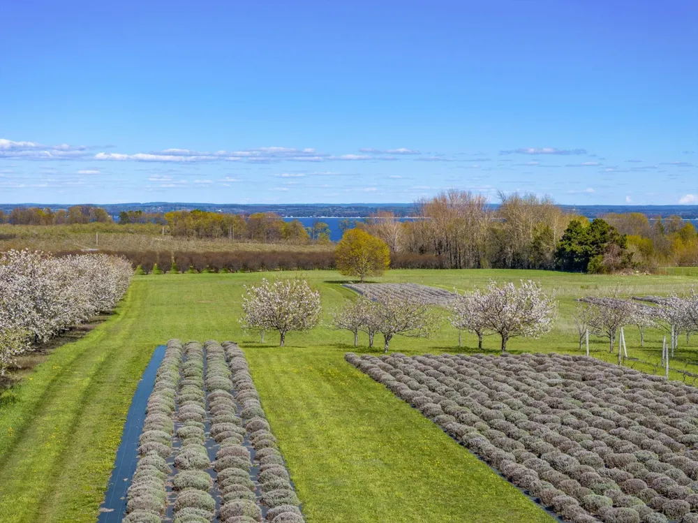 17770 Center Road Peninsula Township, MI 49686