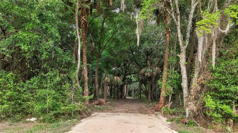 0 N US HWY 301 Citra, FL 32113