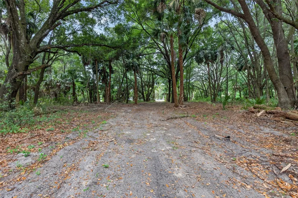 0 N US HWY 301 Citra, FL 32113