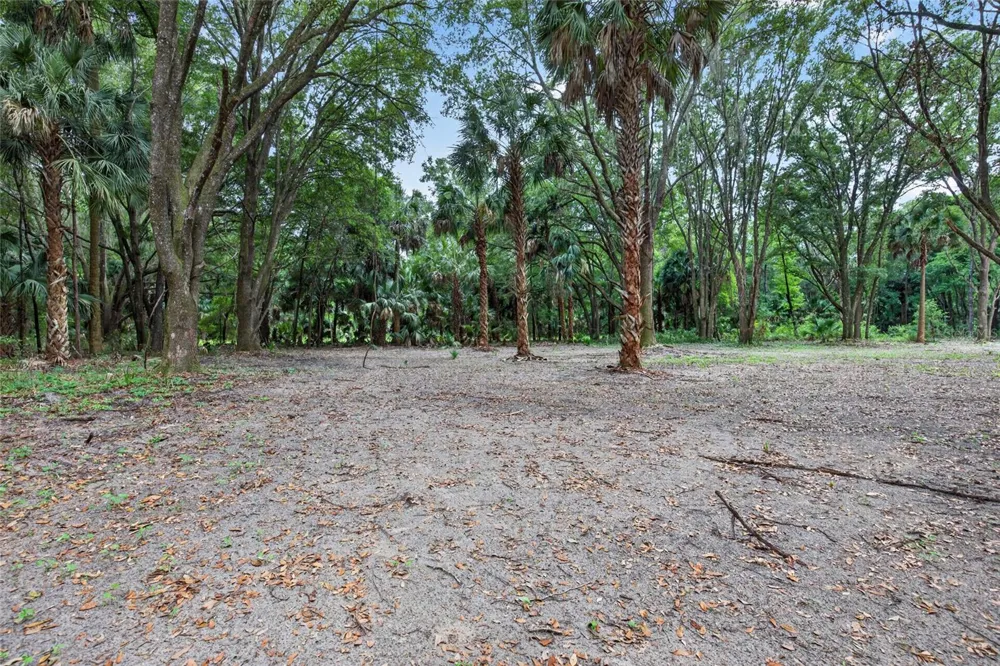 0 N US HWY 301 Citra, FL 32113
