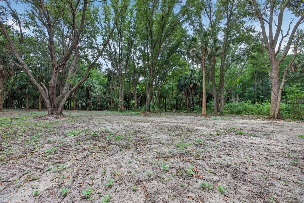 0 N US HWY 301 Citra, FL 32113