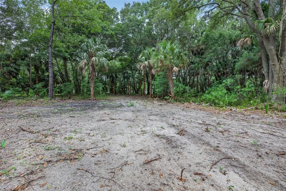 0 N US HWY 301 Citra, FL 32113