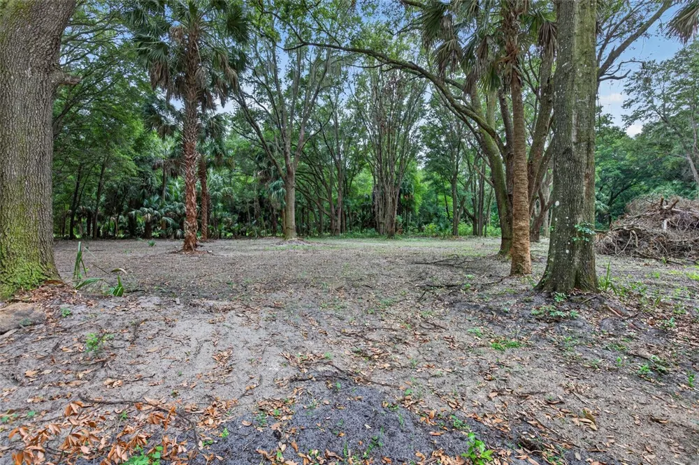 0 N US HWY 301 Citra, FL 32113