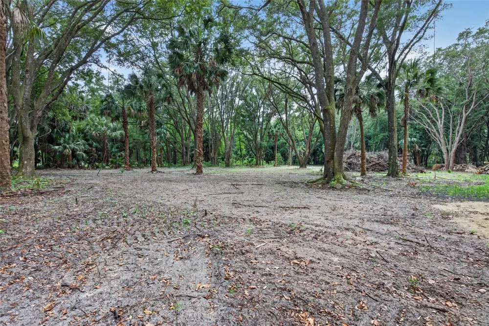 0 N US HWY 301 Citra, FL 32113