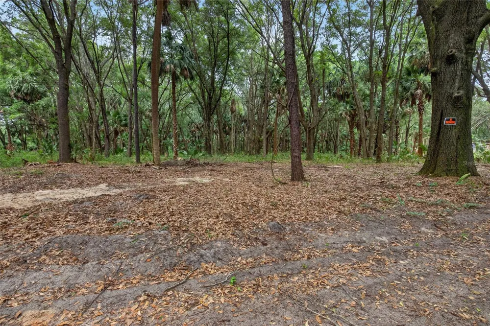 0 N US HWY 301 Citra, FL 32113