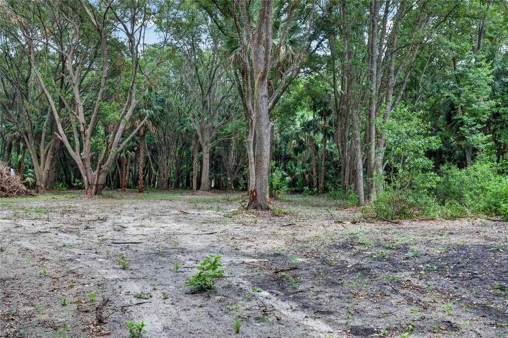 0 N US HWY 301 Citra, FL 32113
