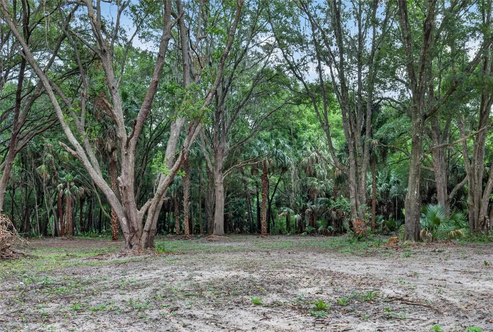0 N US HWY 301 Citra, FL 32113