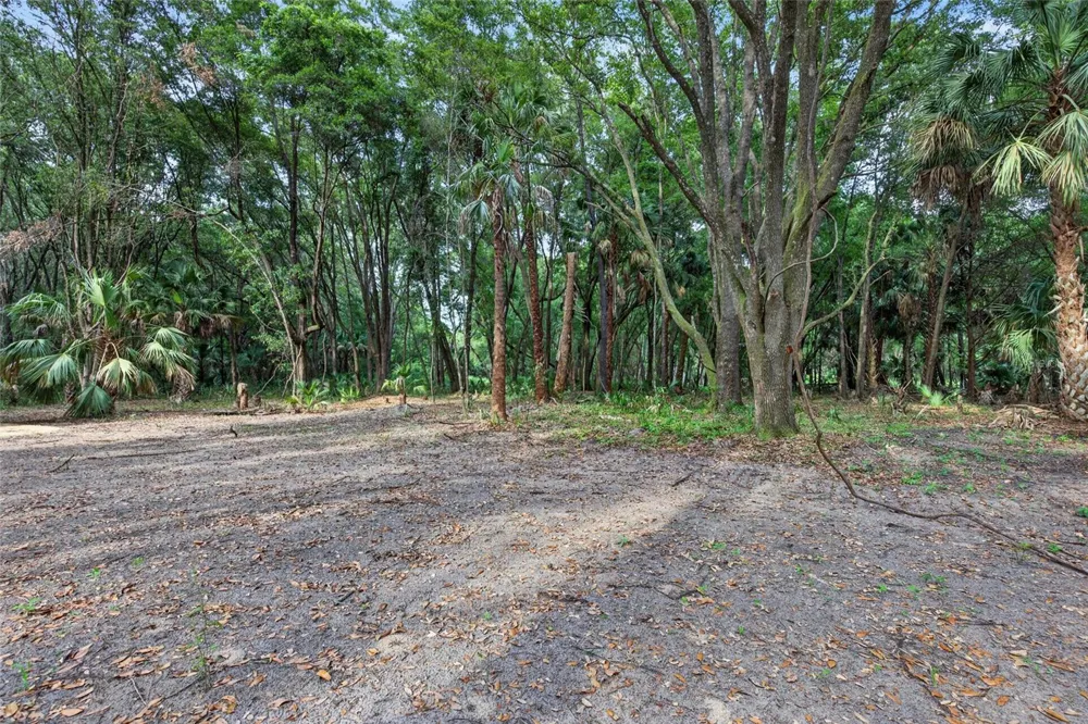 0 N US HWY 301 Citra, FL 32113