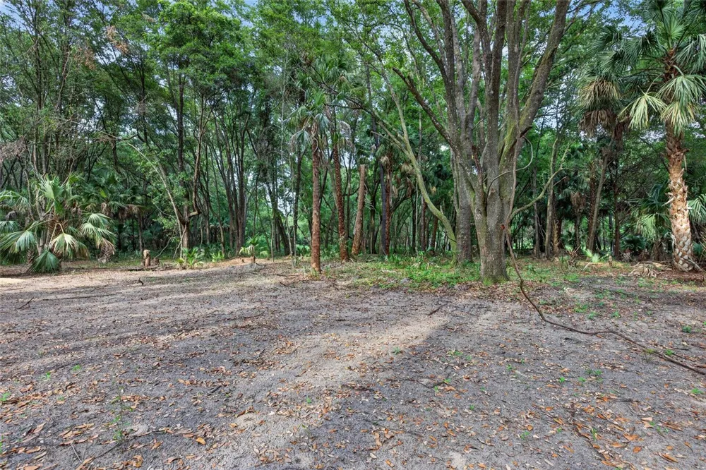 0 N US HWY 301 Citra, FL 32113