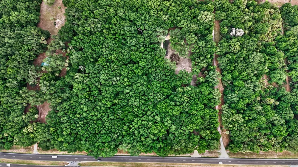 0 N US HWY 301 Citra, FL 32113