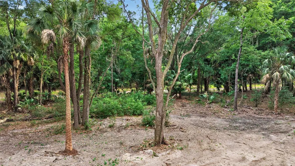 0 N US HWY 301 Citra, FL 32113