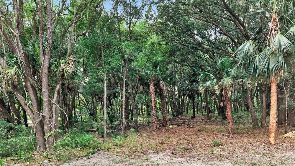 0 N US HWY 301 Citra, FL 32113